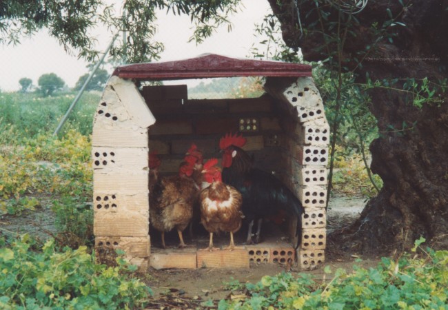 9:03  Curiosa historia sobre las gallinas y el diluvio que ha caído en Andalucía justo para la feria…