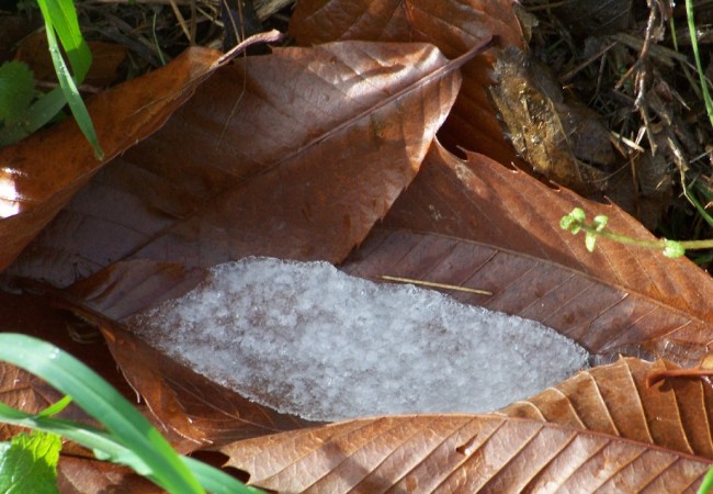 8:34 del Lunes 1 de Diciembre de 2008

No hago más que decir qué frío, como si decir qué frío me hiciera entrar en calor. Estamos teniendo incluso tormentas con rayos y truenos. Es un tiempo que no te deja salir de casa.