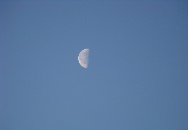 9:00 del Lunes 16 de Febrero de 2009

Buenos días. En esta mañana en la que la luna está decreciendo sobre un día claro, y a tanta altura sobre el horizonte como estará el sol dentro de unas horas