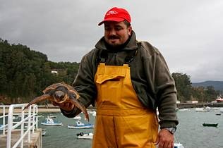 6:23

Fotografía enviada por Marta y que pertenece a la Cofradía de pescadores de Cedeira, donde se ve al marinero que rescató el mes pasado de un palangre a esta tortuga boba, cuya procedencia se ubica, quizás, en Cabo Verde.