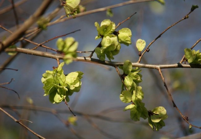 21:46


Hoy el día y la noche durarán lo mismo en toda la Tierra: doce horas de luz y doce de oscuridad, por alcanzar en el hemisferio Norte el equinoccio de primavera, y en el Sur, el equinoccio de otoño.
