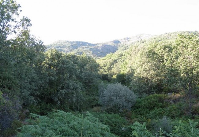 La comarca cacereña de La Vera, situada al norte de la provincia, es un enclave privilegiado para los amantes de la naturaleza. Crónica de Pilar López.
