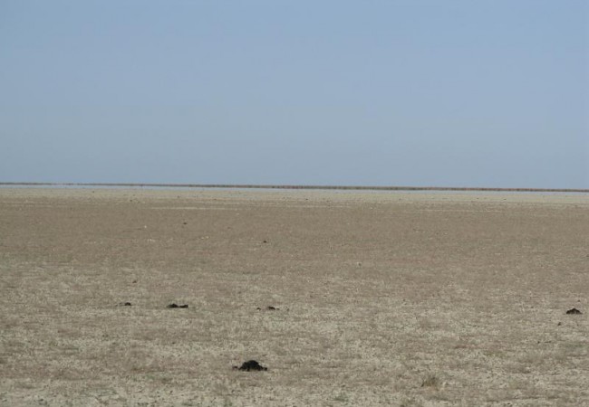 En verano, la marisma, seca y resquebrajada, permite el paso del vehículo sin ninguna dificultad, y luce como un espejo por efecto de la sal acumulada en el suelo, de ahí el nombre de lucios que reciben las manchas de agua entre las islas de juncos y