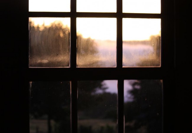 Por esta ventana, y a unos setenta metros de distancia, grabé ayer una escena curiosísima.