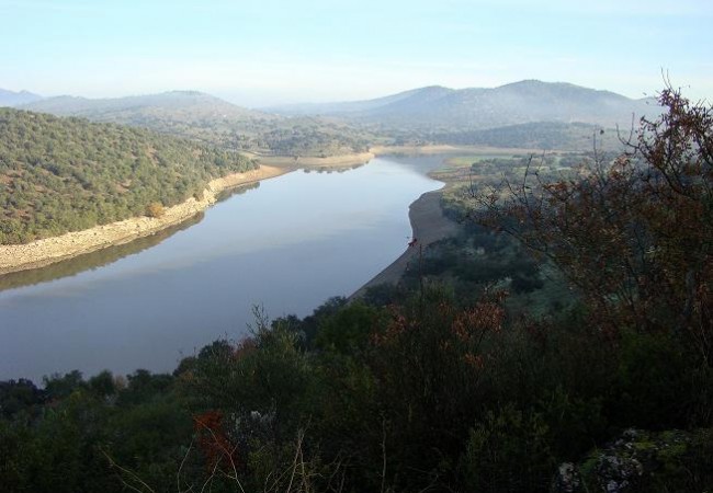 Los somormujos lavancos, esas aves con esos preciosos moños que bien podrían pertenecer alguna tribu urbana, están también en el agua.
        Juan Carlos Delgado Expósito