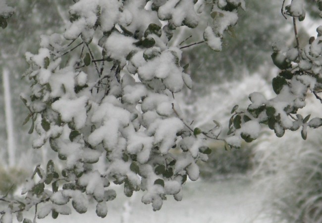 Este hecho es extraordinario para los cacereños. 
Sólo recuerdo una gran nevada como ésta hace ¡veintisiete años!