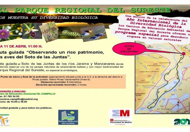 Ruta guiada al Soto de las Juntas de los ríos Jarama y Manzanares donde podremos observar uno de los parajes naturales de sorprendente belleza