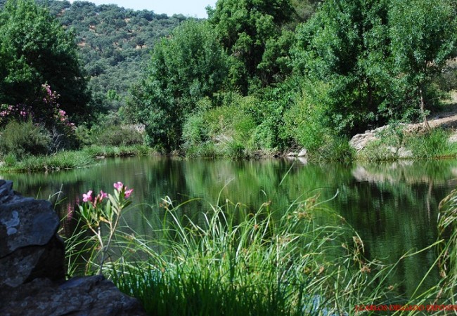 Por las tierras del río Sillo y Álamo