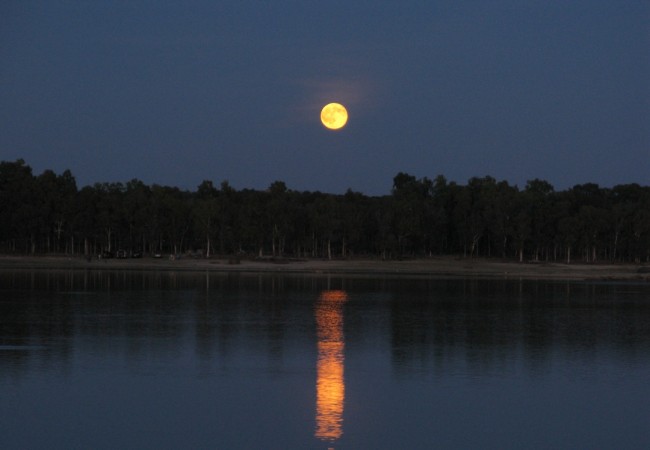 Tienen estas noches tanta luz como la noche que se cerró en el Quijote, “con tanta claridad de luna, que