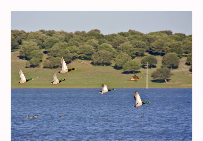 Esta imagen va dedicada a una persona que en estos momentos, está escondido a pie de lago