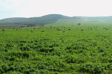 Aunque a muchos nos está sobrando agua a chorros pues no hay forma de entrar en el campo sin hacer