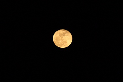 La luna esta noche, entre el invierno y la primavera.

Mónica Fernández-Aceytuno