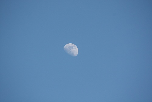 La luna, como un pétalo blanco, la tarde en la que la nació mi sobrina Celia, hoy 13 de Abril.


Mónica Fernández-Aceytuno