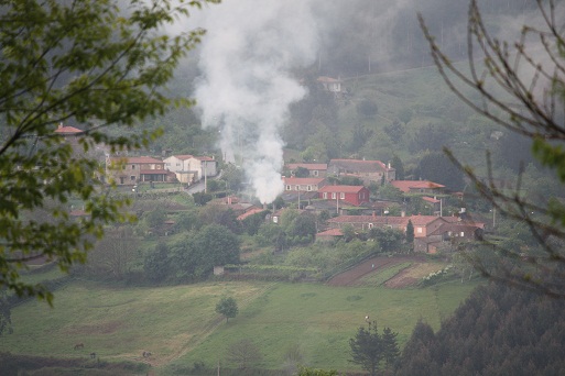 Pocas cosas me gustan más que las lumbraradas de primavera, bajo la lluvia, subiendo el humo blanco desde el valle con ese olor dulce del 


Mónica Fernández-Aceytuno