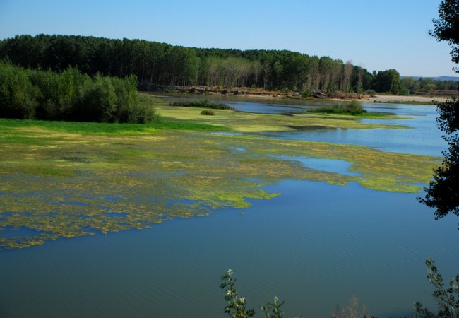 Panorámica que se observa desde el mirador de Medio Ambiente.

Juan Antonio Towse