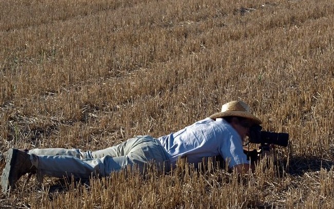 A veces me preguntan cómo me acerco a las libélulas para poder sacar fotografías. Yo siempre digo que es cuestión de paciencia y suerte.
#Compartelanaturaleza
