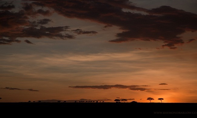 ¿Por qué cuando se marcha el sol, siendo verano en África, sopla esta brisa cálida y fresca?, como si todo cayera al atardecer bajo un tejado de hierba.

Mónica Fernández-Aceytuno 

