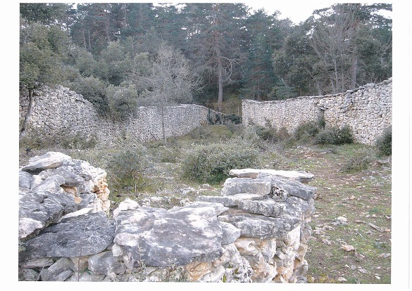 Todos los años en nuestro viaje de vacaciones, te envíamos las fotos que más nos llaman la atención relacionadas con la Naturaleza.

Iñigo