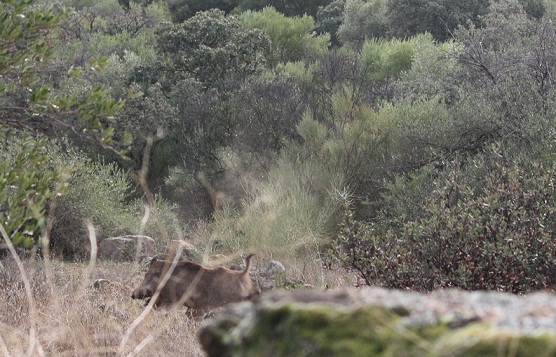 No sé por qué, a mi el silencio de la niebla me despierta.

MF-A