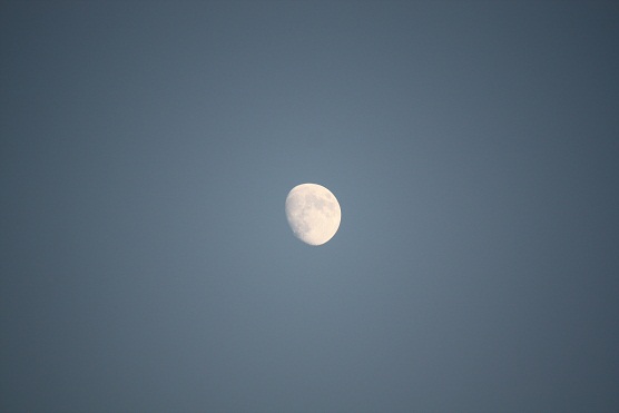 La luna en el cielo como un pétalo blanco.

MF-A