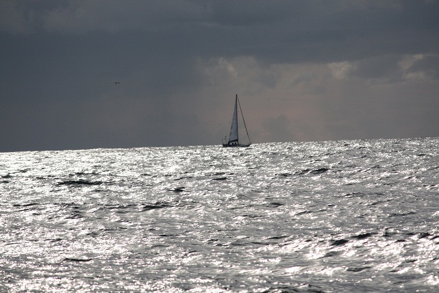 La belleza sobre el mar la ponen los veleros. The splendour coating the sea´s surface is provided by the sailboats.
MF-A