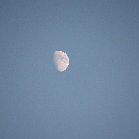 El cielo azul y una luna blanca en lo alto.The blue sky and a white moon high above.

MF-A