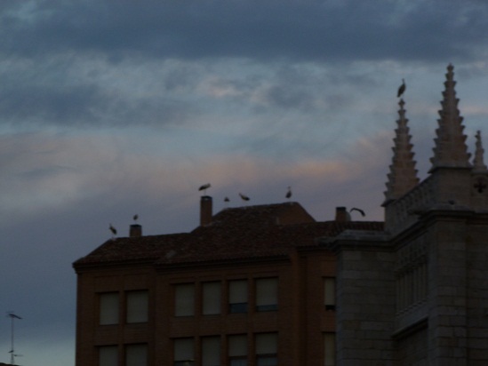 Te adjunto dos fotografías de nuestro paso por Valladolid en el mes de Agosto de este año.

Iñigo