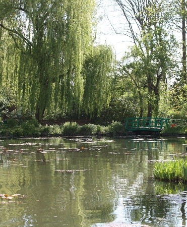 “Cada día descubro cosas que no había visto la víspera: añado y pierdo algunas cosas. En fin: busco lo imposible”

                       Claude Monet