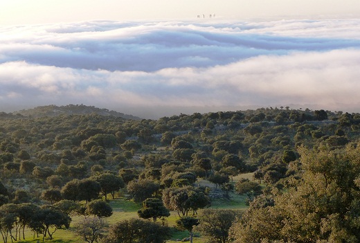 Esto es el amanecer el dia 11 de abril, es una imagen frecuente en la sierra de Madrid.

RM