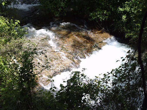 Ruta el bosque Benamahona (por el río Majaceite) en la sierra de Cádiz.

Guillermo Fajardo