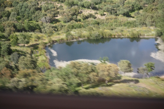 Me encantó ver desde el tren Sierra Morena con sus alcornocales y sus encinas y sus charcas oscuras cubiertas de flores tan blancas como la pared encalada de un cortijo.

Mónica Fernández-Aceytuno