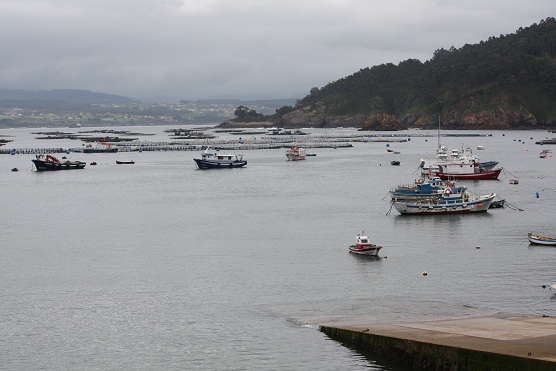 Me encanta ir a Lorbé a tomar mejillones de batea donde comimos, además, el menú de los marineros.

Mónica Fernández-Aceytuno