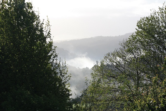 Niebla, con el sol, volando. La niebla es la esperanza hecha agua, el sueño de la tierra aún dormida.

Mónica Fernández-Aceytuno