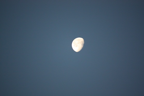 Así estaba hoy la luna, llegando a las siete de la mañana, muy blanca, sobre un cielo muy azul, vacío de vencejos.

Mónica Fernández-Aceytuno