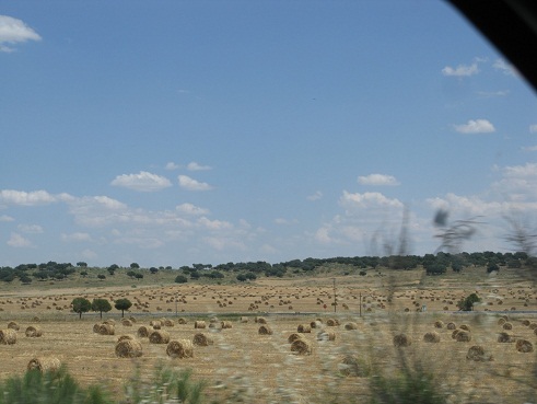 La distribución de las pacas o balas de heno sobre el terreno nos causó una grata impresión.

Pilar