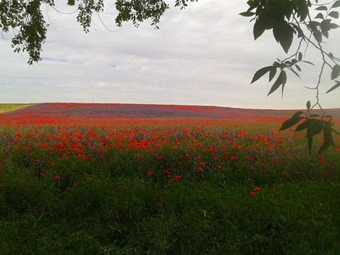 Foto de Cristina Fuentes