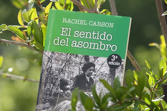 Lo que asombra no es tanto la semejanza entre los animales, sino lo que se parecen los materiales de los que están hechos.

Mónica Fernández-Aceytuno