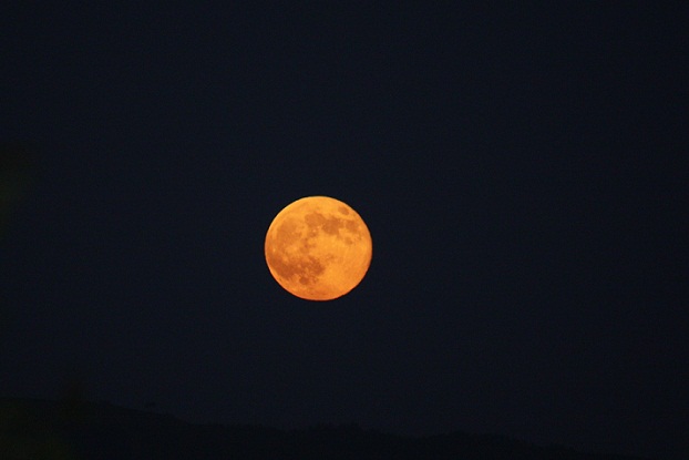 Buenas noches. Así de preciosa acaba de salir la luna por el monte del Gato.

Mónica Fernández-Aceytuno