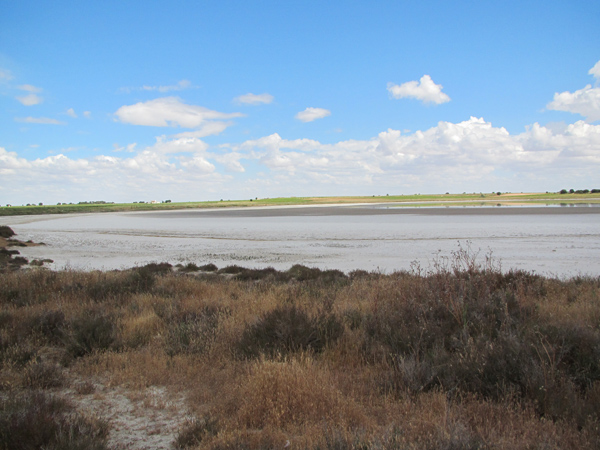 El de las charcas empequeñecidas y rodeadas del brillo de sus sales o de las tierras agrietadas y el de la huida de muchas de sus aves. 

Isabel Fernández Bernaldo de Quirós