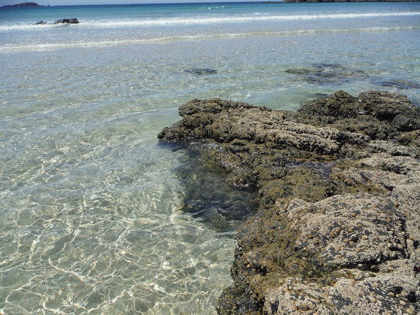 En estas rocas que acaba cubriendo la marea por completo, viven los gobios.

Mónica Fernández-Aceytuno