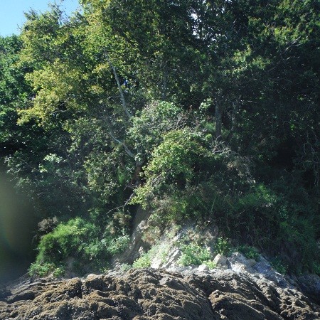 Expongo primero esta foto porque me parece importantísima la relación entre el paisaje exterior y el que hay dentro del agua.

Mónica Fernández-Aceytuno