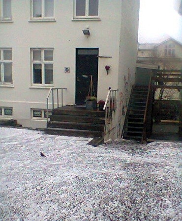 Estos pájaros que guardan algun parecido con el Malvís se encuentran en toda el area de Reykjavik.

Carlos Bernier