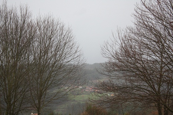 En invierno el campo duerme y sueñan las chimeneas.

Mónica Fernández-Aceytuno