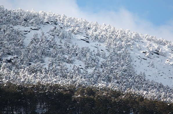 La nieve es la sombra blanca, de una nube, que ya ha pasado.