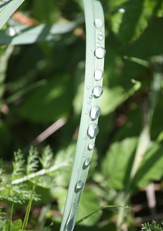 El agua es el origen de la vida y puede que también, para mí, el origen de la escritura.

Mónica Fernández-Aceytuno