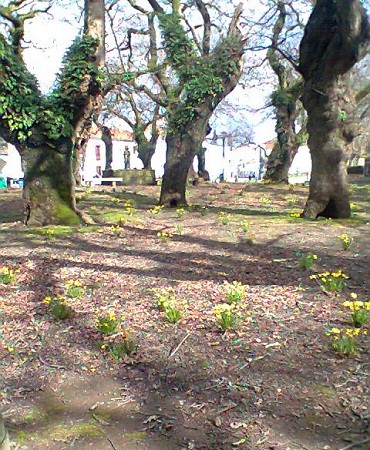 A la espalda tras un muro se ve el jardin del Pazo de San Lorenzo,con ecos rosalianos y valleinclanescos.

Carlos