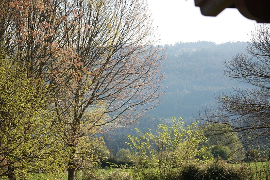 El silencio es un paisaje.