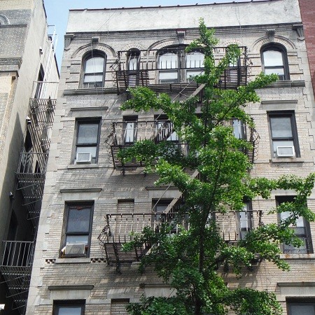 Los antiquísimos Ginkgos, con sus ramas delgadas como los huesos de un esqueleto, y sus hojas en abanico.

Mónica Fernández-Aceytuno