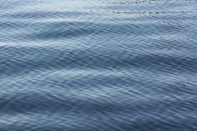 Líneas del agua