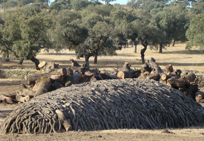 En primer lugar hay que apilar la madera como ven en la fotografía en una primera capa, posteriormente la segunda capa está compuesta de pasto o paja seca, para terminar cubriéndolo todo con tierra.
          Crónica de J.C.Delgado Expósito